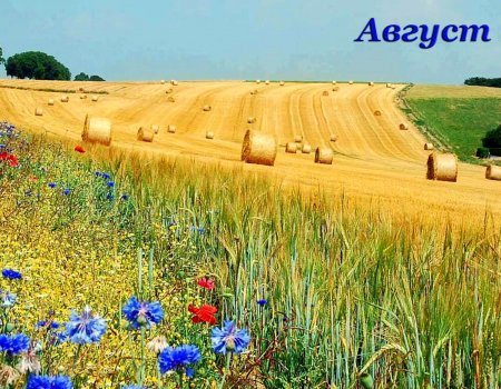 Метеорологи дали прогноз погоды на август в Башкортостане