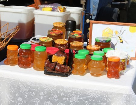 В Башкортостане пройдет фестиваль «Заповедный мед»