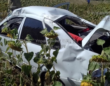 В Башкортостане из искореженной машины достали тело мужчины