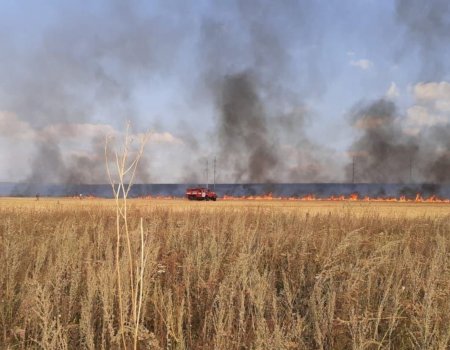 В Куюргазинском районе Башкортостана горит поле