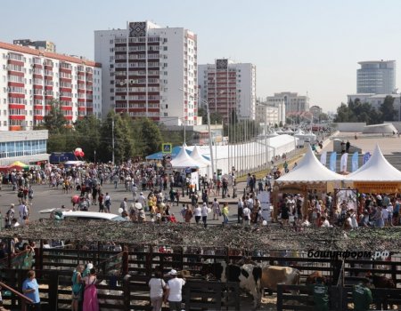 Фестиваль «Молочная страна» в Уфе посетили более 60 тысяч человек
