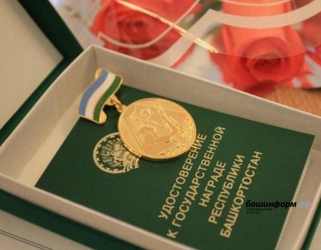 В Башкортостане 26 многодетных матерей наградят медалью «Материнская слава»