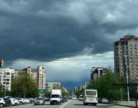 МЧС по Башкортостану предупреждает жителей республики о шквалистом усилении ветра