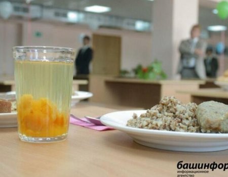 В Башкирии продолжает работать горячая линия по вопросам питания в школах