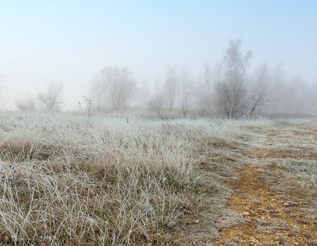 МЧС по Башкортостану предупреждает жителей республики о заморозках и тумане