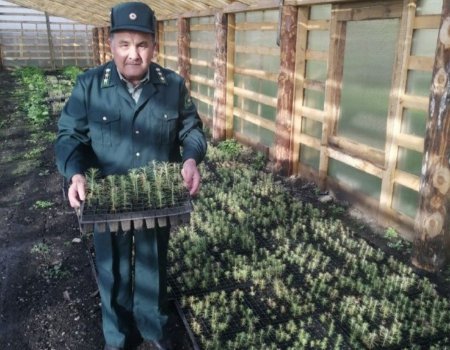 Глава Башкортостана в День работников леса рассказал о леснике Салавате Гайсине
