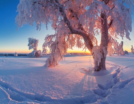Какой будет зима в Башкортостане - предварительные прогнозы