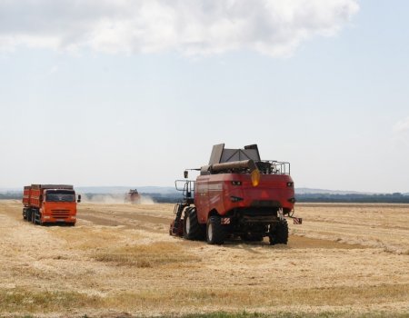В Башкортостане будут проводить республиканские трудовые соревнования аграриев