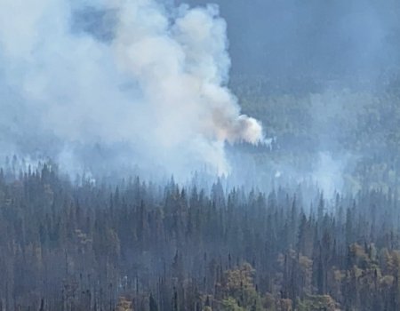 В Зилаирском районе Башкортостана загорелись почти 6 га леса