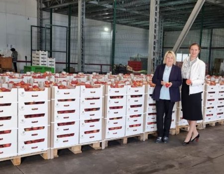Депутаты Госсовета Крыма прислали детям Башкирии десять тонн фруктов