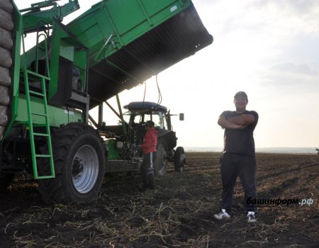 Битва за урожай: какие трудности преодолевает аграрный сектор Башкортостана?