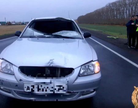 В Башкортостане пешеход погиб под колесами Hyundai Accent