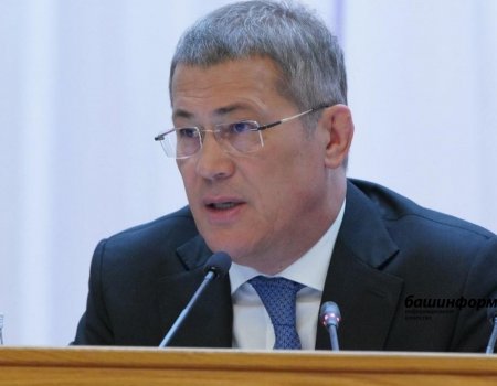 Глава Башкортостана поручил проконтролировать деятельность НКО, получателей региональных грантов