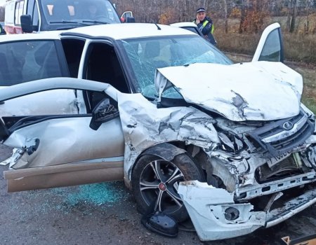 В Башкортостане в массовом ДТП спасатели достали из искореженной машины пострадавшую пассажирку