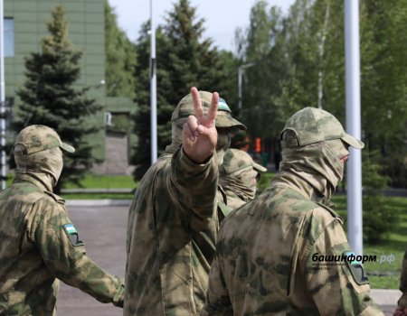Правительство России поддержало законопроект о статусе ветерана боевых действий для добровольцев