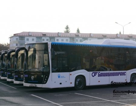 На дорогах Уфы появится около 60 новых больших автобусов