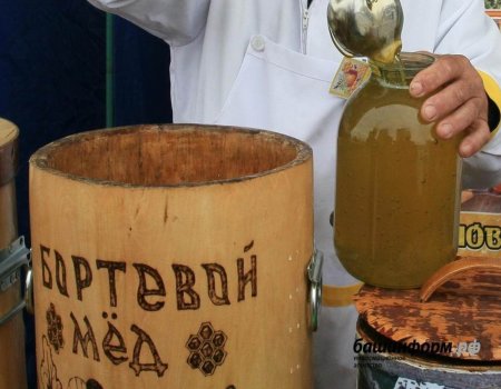 Глава республики пояснил, почему мёд в Башкортостане добывают даже зимой