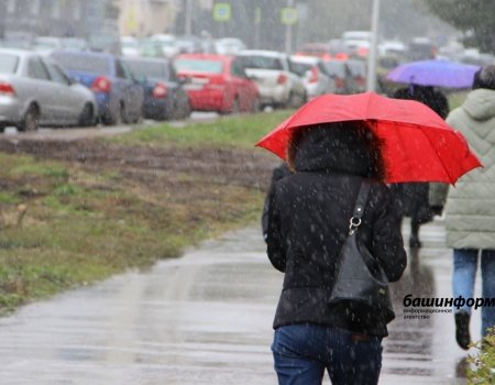 Туман, сильный ветер и мокрый снег: в Башкортостане вновь прогнозируется ненастная погода