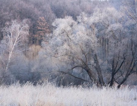 В Башкортостане ожидается существенное похолодание