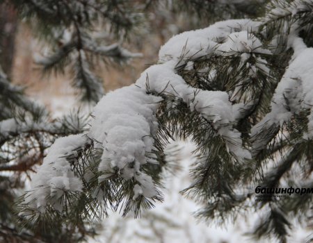 МЧС Башкортостана предупреждает жителей республики о снегопаде и ледяном дожде