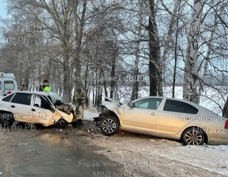 В Башкортостане в лобовом столкновении с автомобилем Skoda Octavia погиб водитель Daewoo Nexia