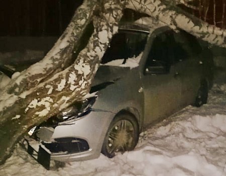 В Башкирии 92-летний водитель с просроченными правами на машине «Лада Гранта» протаранил дерево
