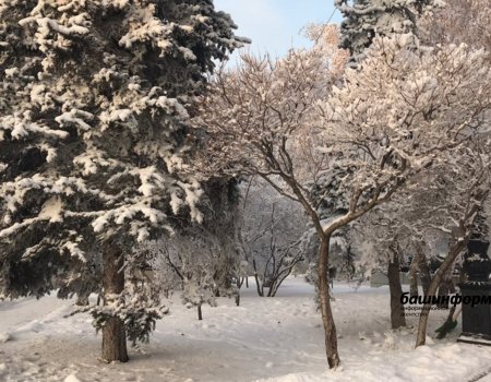 В Башкортостане в ближайшие выходные «потеплеет» до -7 градусов