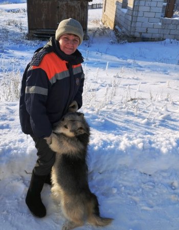 Спасатели освободили собаку, обреченную на холодную смерть