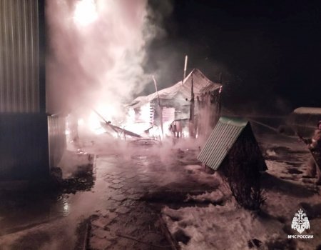 Спасатели устанавливают причину пожара в Татышлинском районе Башкирии