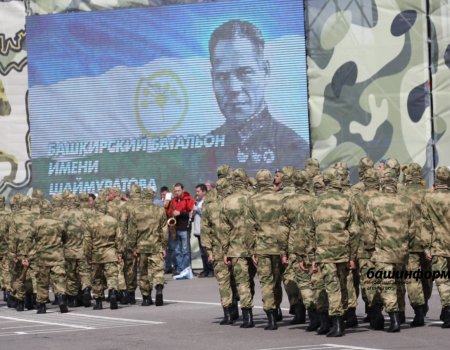 80 бойцов башкирского батальона имени Шаймуратова представлены к российским госнаградам