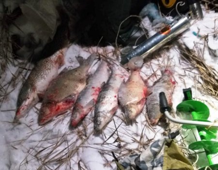 У браконьеров, отправившихся на ночную рыбалку в Башкирии, изъяли снасти и 30 килограммов рыбы