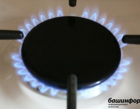 В Башкортостане в 2021-2025 годах газификации подлежат 25 тысяч домовладений