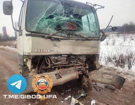 В Башкирии столкнулись два грузовика - пострадал водитель