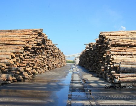 Семьи погибших участников СВО из Башкортостана получат древесину в приоритетном порядке