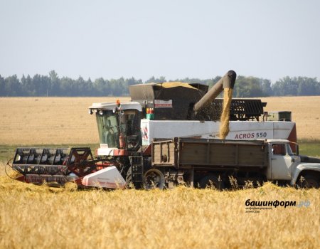 Глава Башкортостана рассказал о секрете большого урожая зерновых