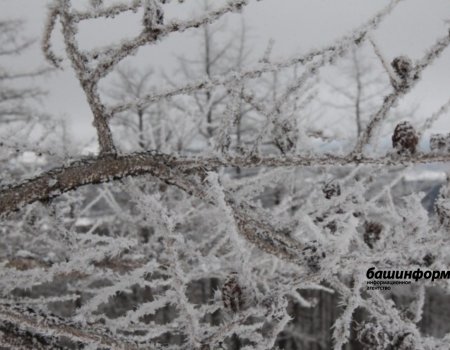 В некоторых районах Башкортостана похолодает до -28 градусов