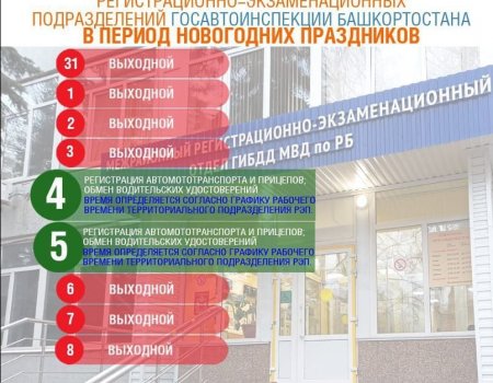 ГИБДД Башкортостана сообщила график работы РЭП в праздники
