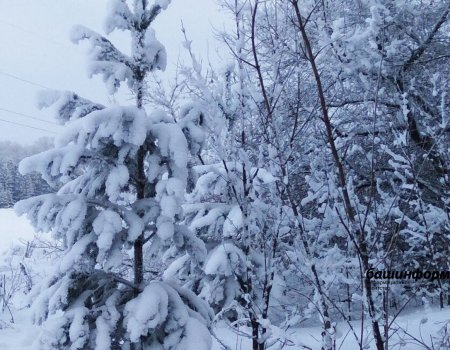 В отдельных районах Башкортостана похолодает до -26°