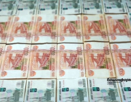 Жителям Башкортостана напомнили о необходимости отчитаться о своих доходах
