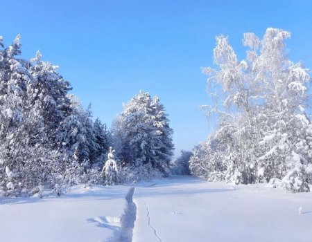 Морозы ослабевают: в Башкортостане потеплеет до -10 градусов
