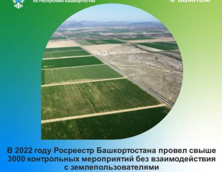 В 2022 году Росреестр Башкортостана провел свыше 3000 контрольных мероприятий без взаимодействия с землепользователями