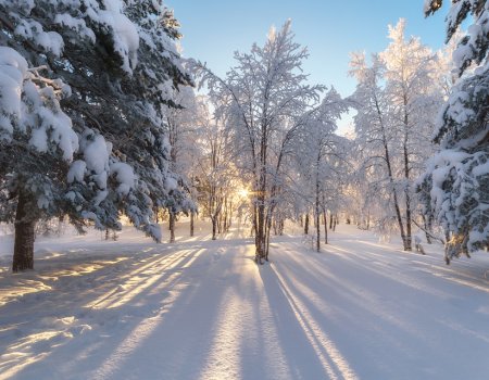 В Башкортостане стал известен предварительный прогноз погоды на февраль
