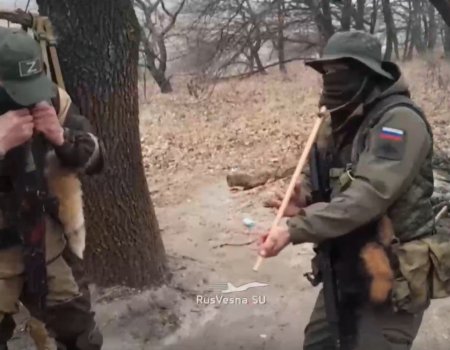 В зоне СВО сняли патриотическое видео с воинами из Башкортостана