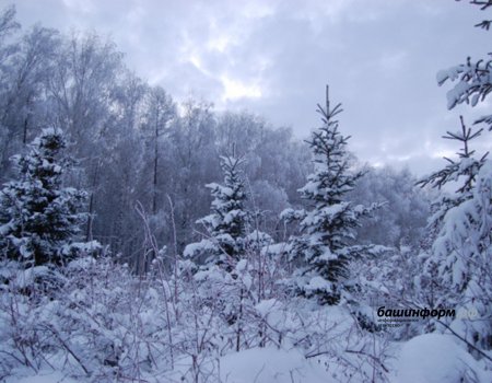В Башкортостане дан предварительный прогноз погоды на февраль
