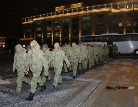 Минобороны России обеспечит добровольческие батальоны оружием, техникой и медициной