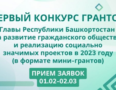 Как жителям Башкортостана получить до полумиллиона рублей на реализацию своих проектов