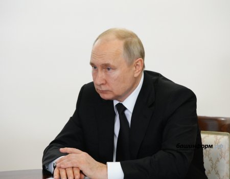 Владимир Путин разрешил публиковать обезличенные декларации депутатов и сенаторов