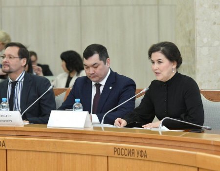 Министр культуры Башкортостана призвала муниципалитеты не закрывать библиотеки