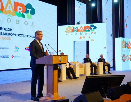 Радий Хабиров предложил федеральное софинансирование региональных мер поддержки СНТ