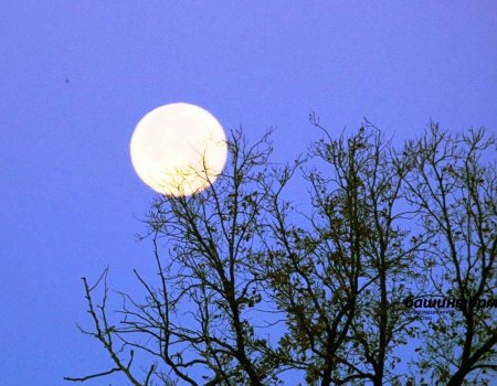 Жители Башкирии смогут увидеть соединение Венеры и Юпитера, а также насладиться видом пепельной Луны